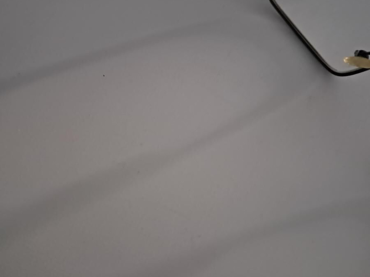 Etnia O barcelona Namur