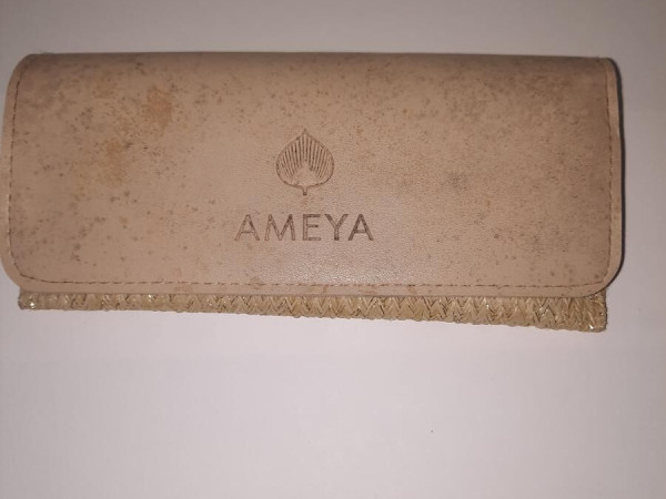 AMEYA - ADRL805 C04
