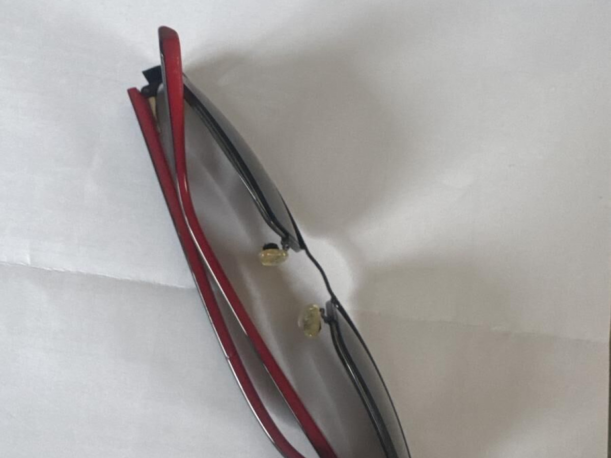 Emporio Armani EA1006