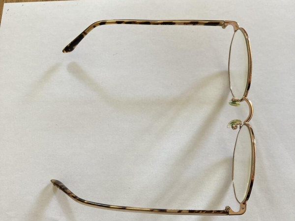 Paul & joe Daisy 31 52/17