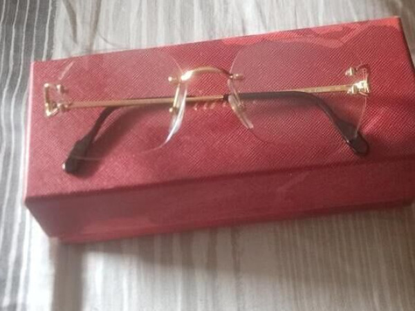Cartier 4210bf