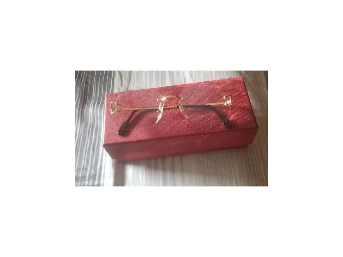 Cartier 4210bf
