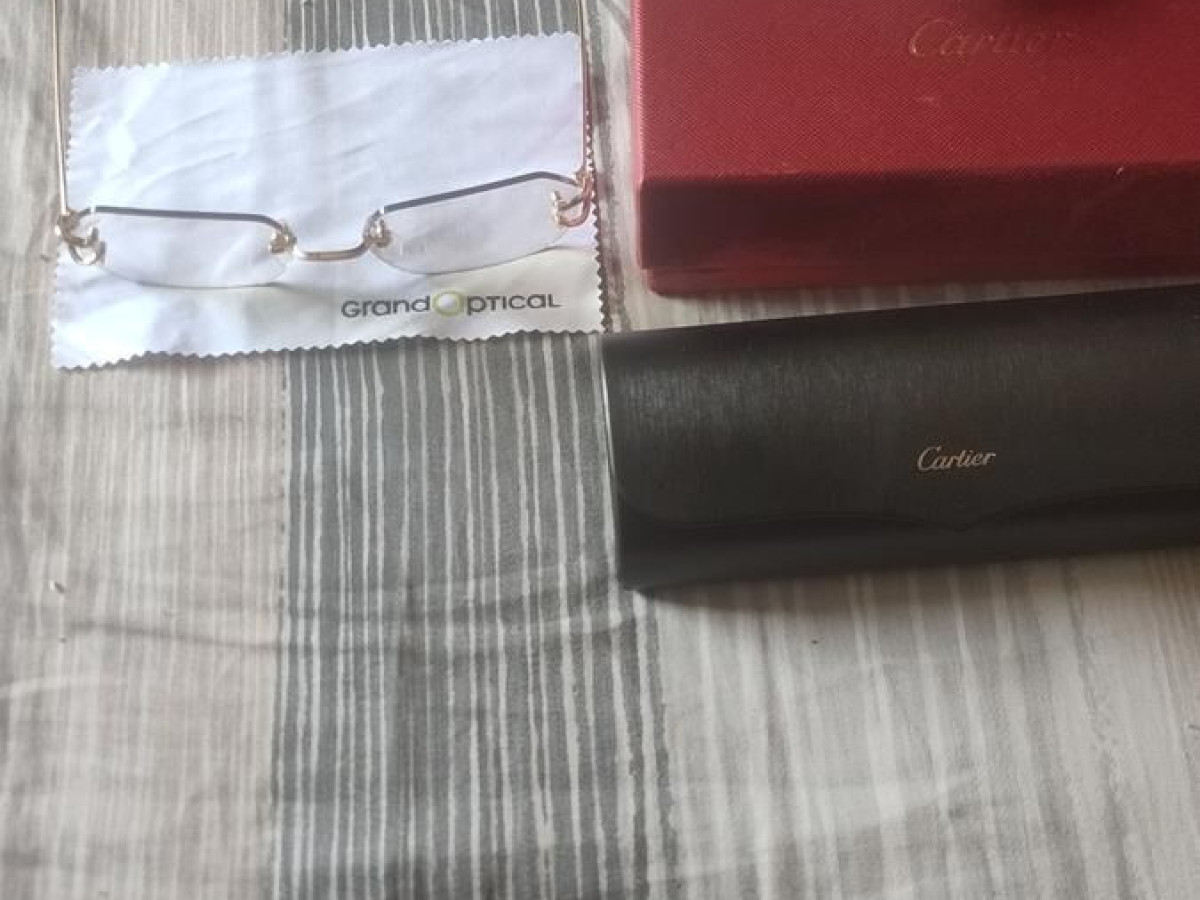 Cartier 4210bf