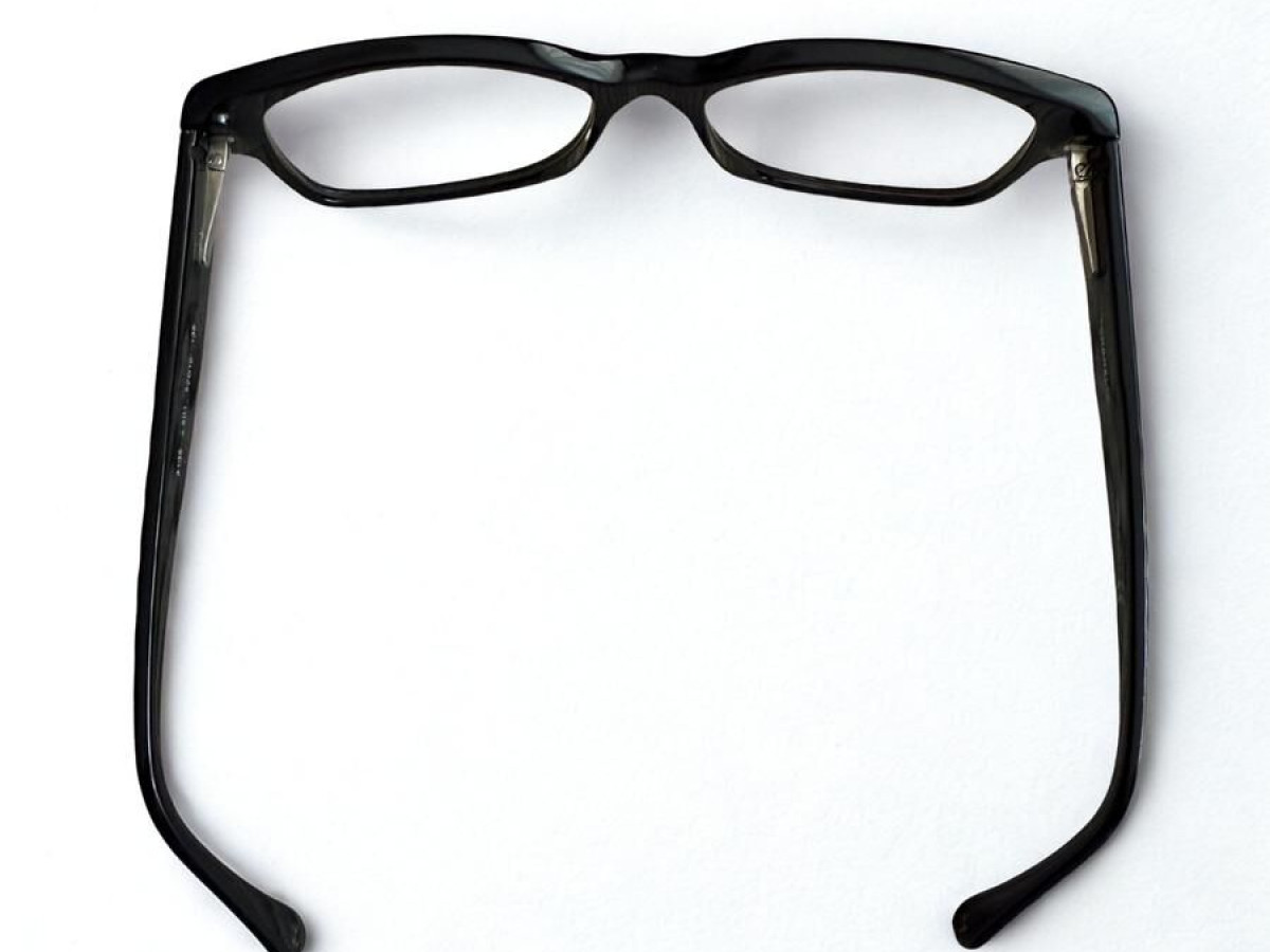 CHANEL - 3135 C.501 52/16