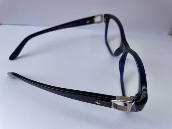 RALPH LAUREN - RL6113Q 54/17