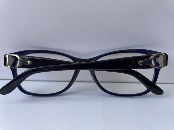 RALPH LAUREN - RL6113Q 54/17
