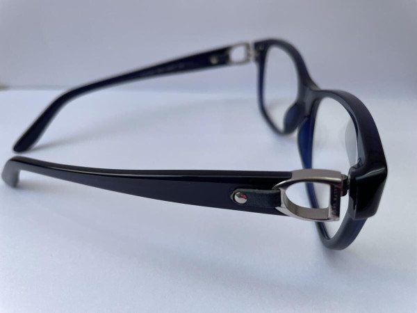 RALPH LAUREN - RL6113Q 54/17