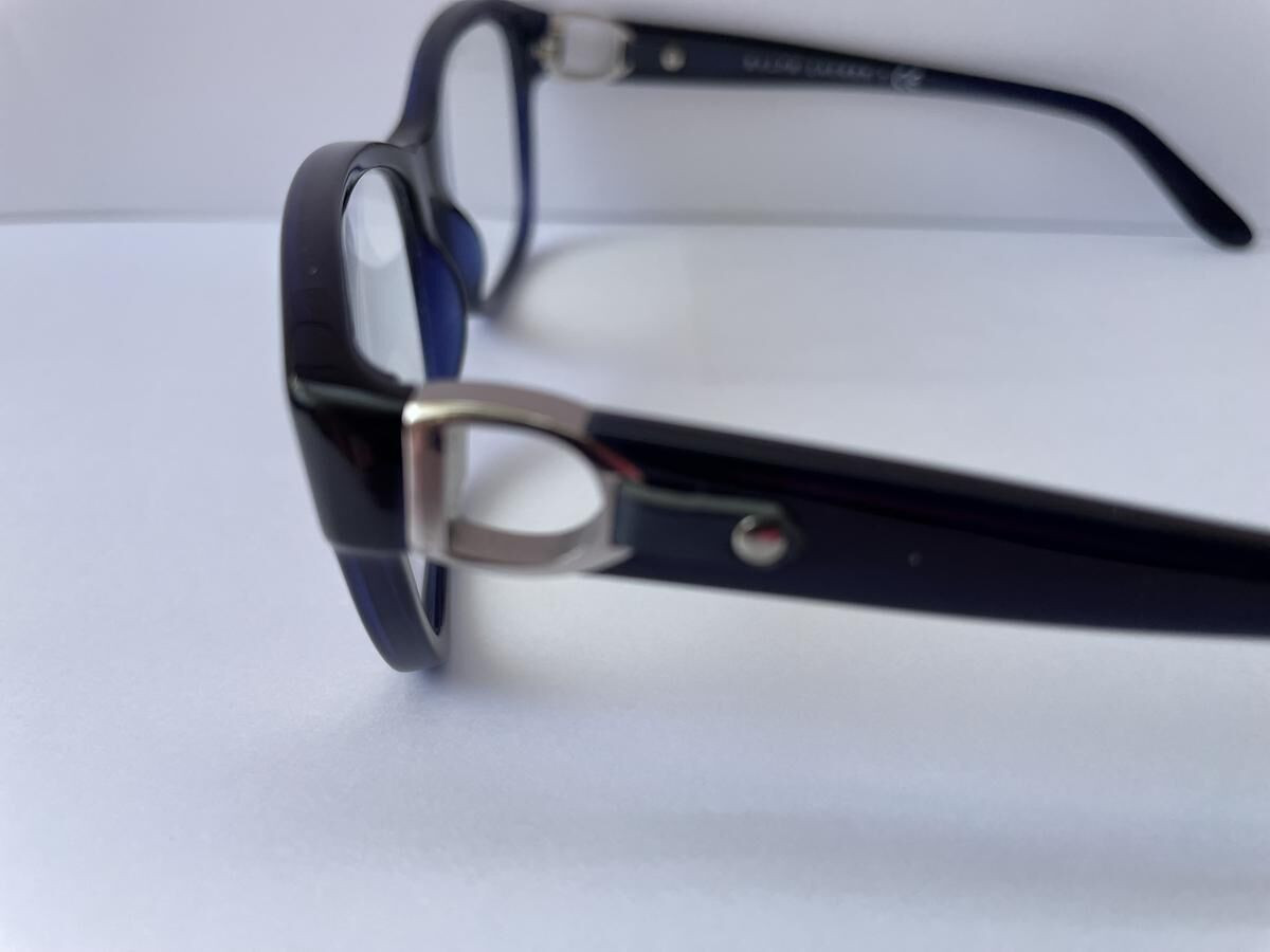 RALPH LAUREN - RL6113Q 54/17