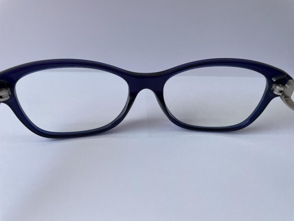 RALPH LAUREN - RL6113Q 54/17