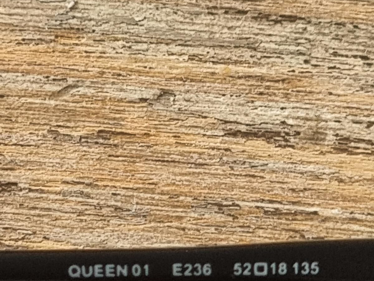 Paul et Joe Queen 01  E236