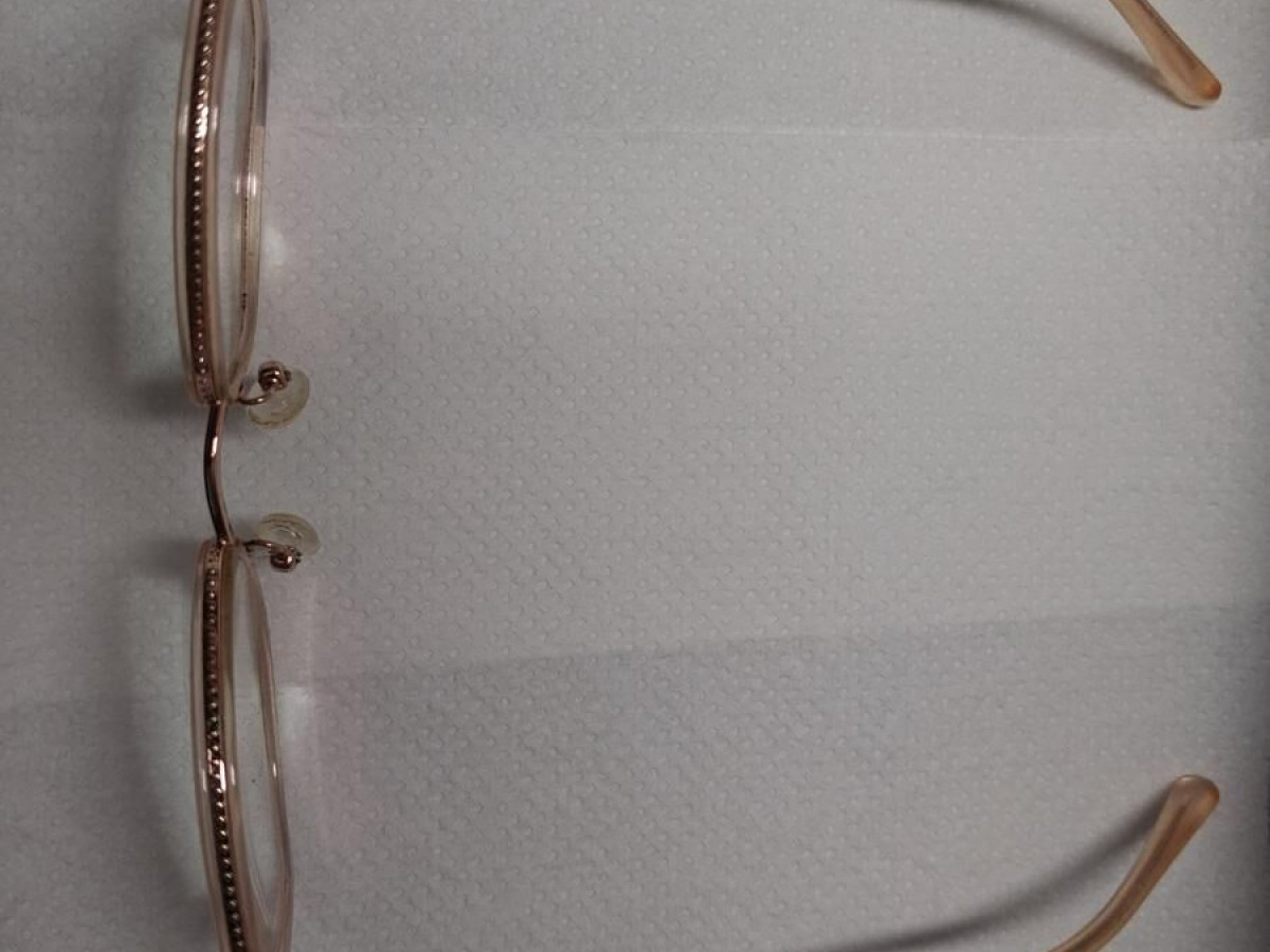 MICHAEL KORS-MK3032 Coconut Grove 3417 51/19