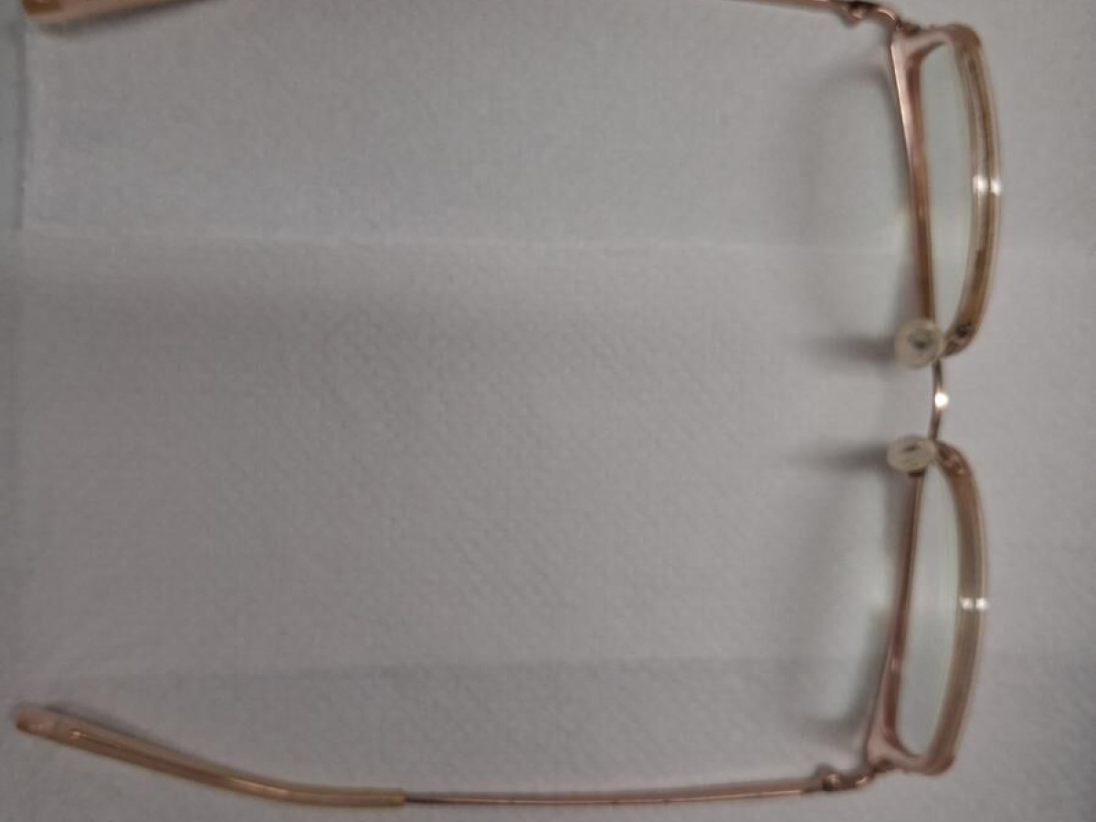 MICHAEL KORS-MK3032 Coconut Grove 3417 51/19