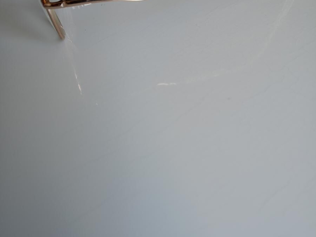 Ana Hickman - hl1124 49/19