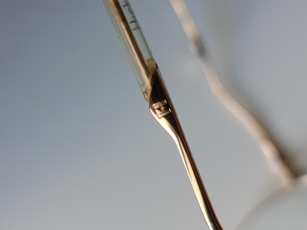 Ana Hickman - hl1124 49/19