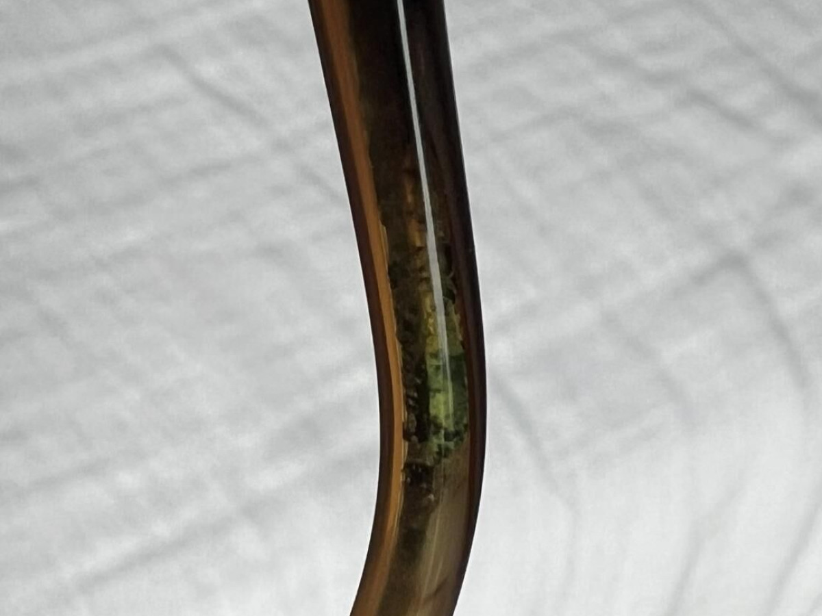 Paul and Joe - Clematis 11 E146 48*18