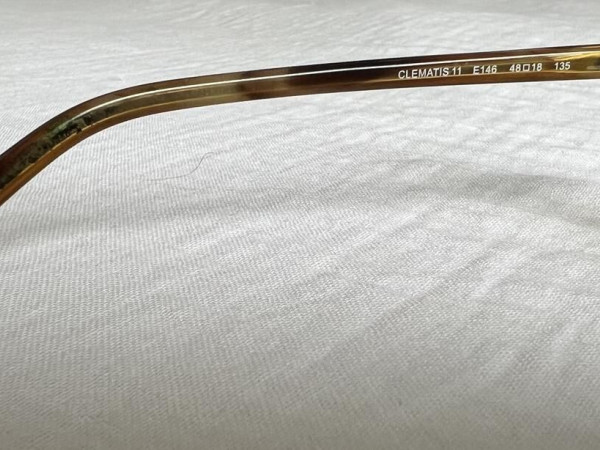 Paul and Joe - Clematis 11 E146 48*18