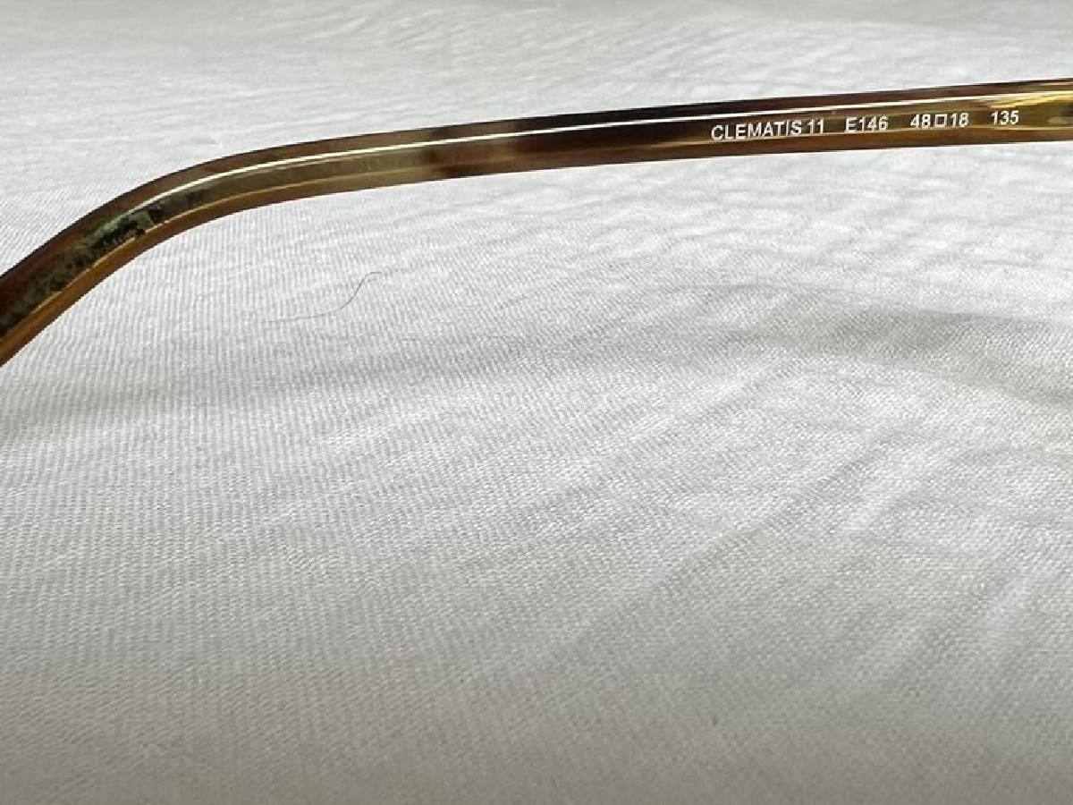 Paul and Joe - Clematis 11 E146 48*18