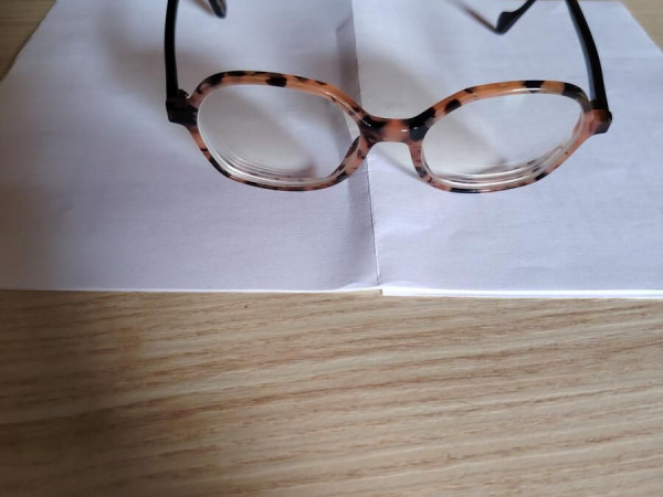 Bonnie ambitieuse -116/250