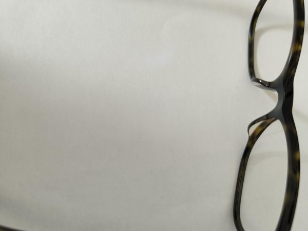 Zadig & voltaire VZV253 COL.0722 135