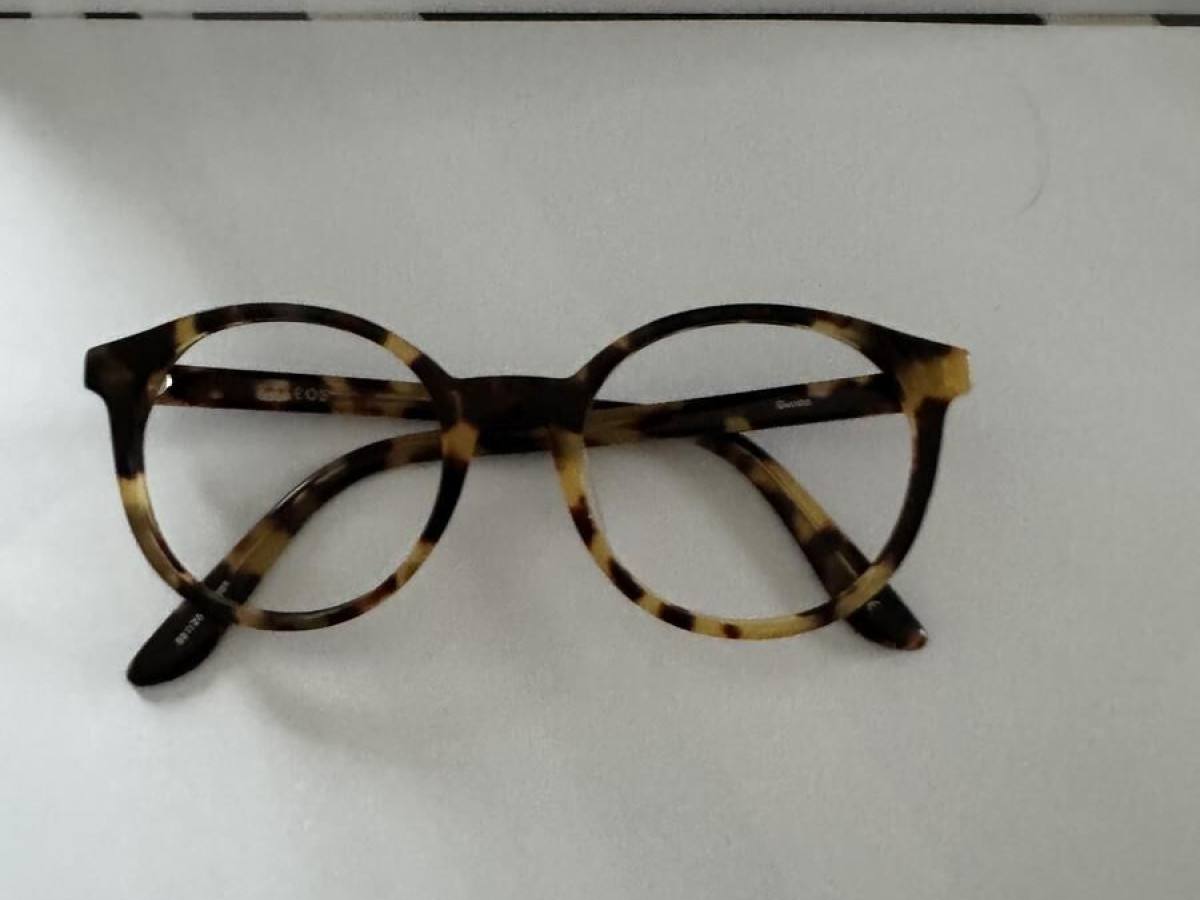 Kaleos - Guido 50/20