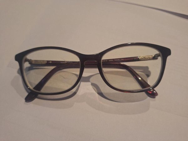 Paul & Joe - Clématis 12