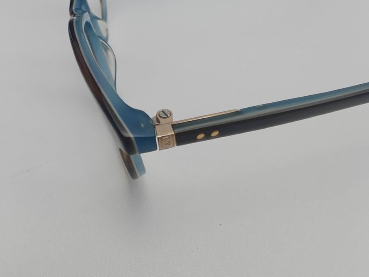 PAUL & JOE - CLEMATIS 12 51/16