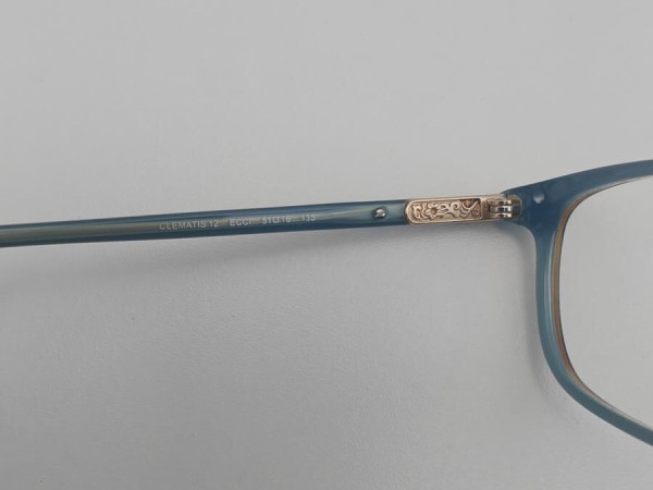 PAUL & JOE - CLEMATIS 12 51/16