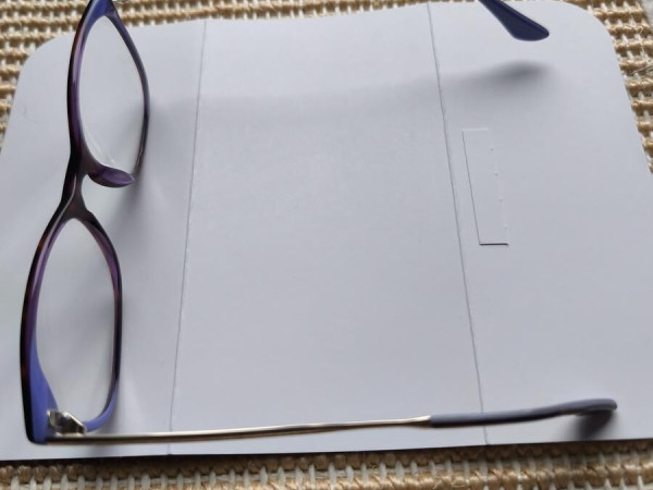 Perfecto-065 02 52¤17 140