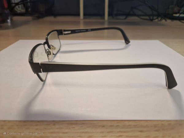 EMPORIO ARMANI - EA1036 3109 53¤17