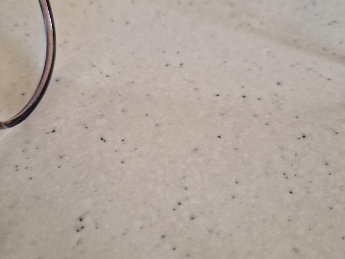 IKALY - OP349 C1 48/18