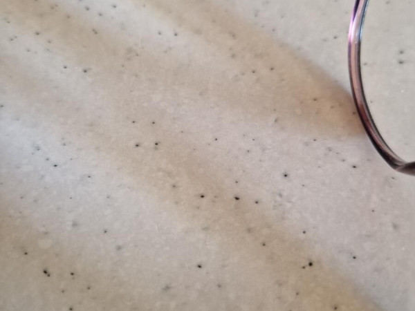 IKALY - OP349 C1 48/18