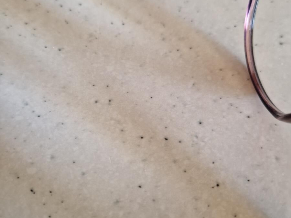 IKALY - OP349 C1 48/18