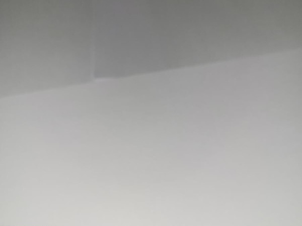 Switch - SWOF0003 49¤18