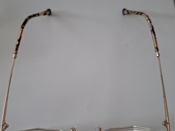 CM 317 - la curieuse - C01 49/19