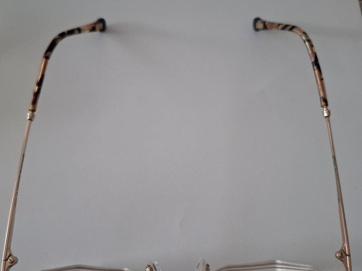 CM 317 - la curieuse - C01 49/19