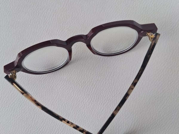 FRANCOIS PINTON - 21 148