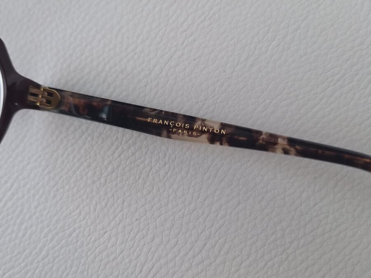 FRANCOIS PINTON - 21 148