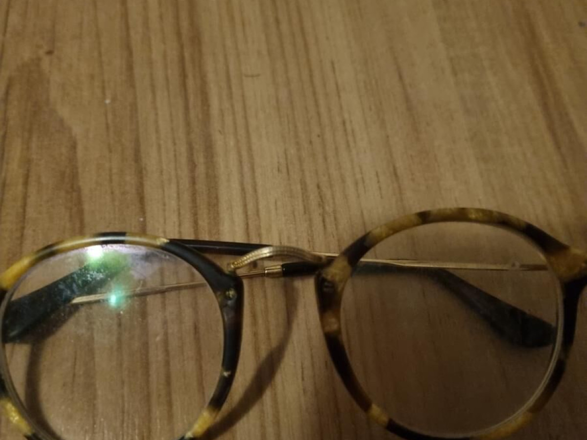 RAYBAN - RB2447 round fleck