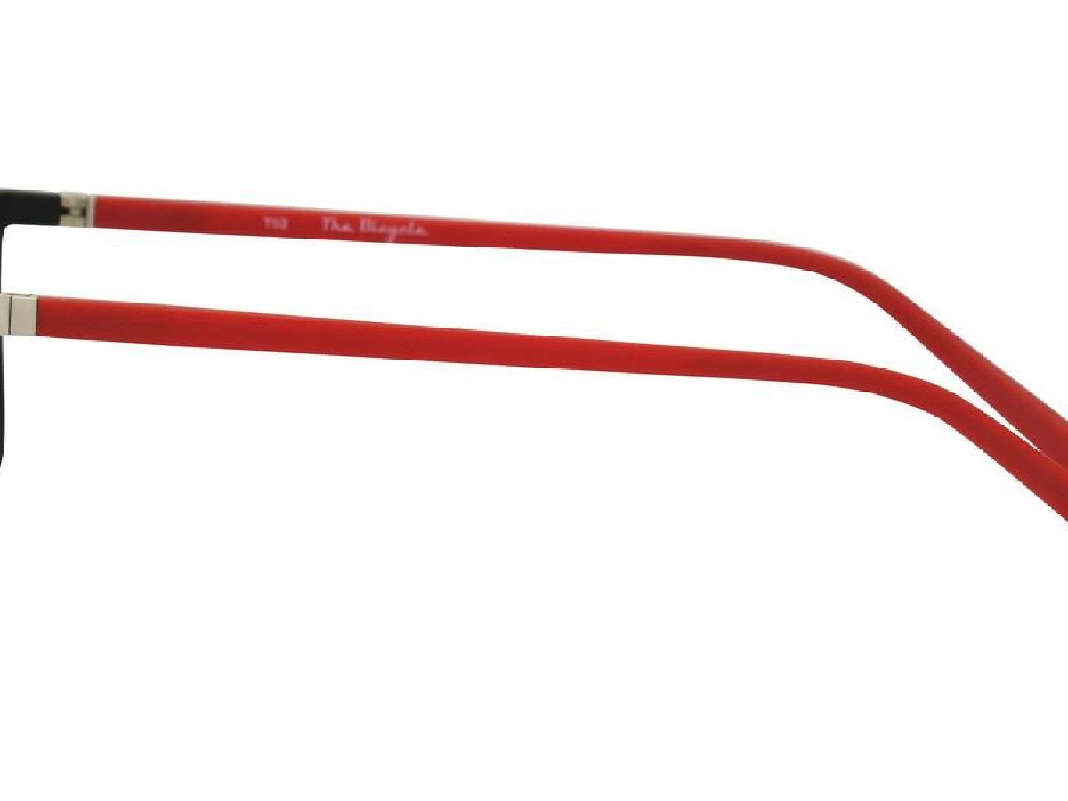 THE BICYCLE - BIC1801 - 54/16