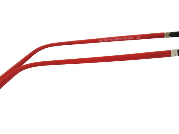 THE BICYCLE - BIC1801 - 54/16