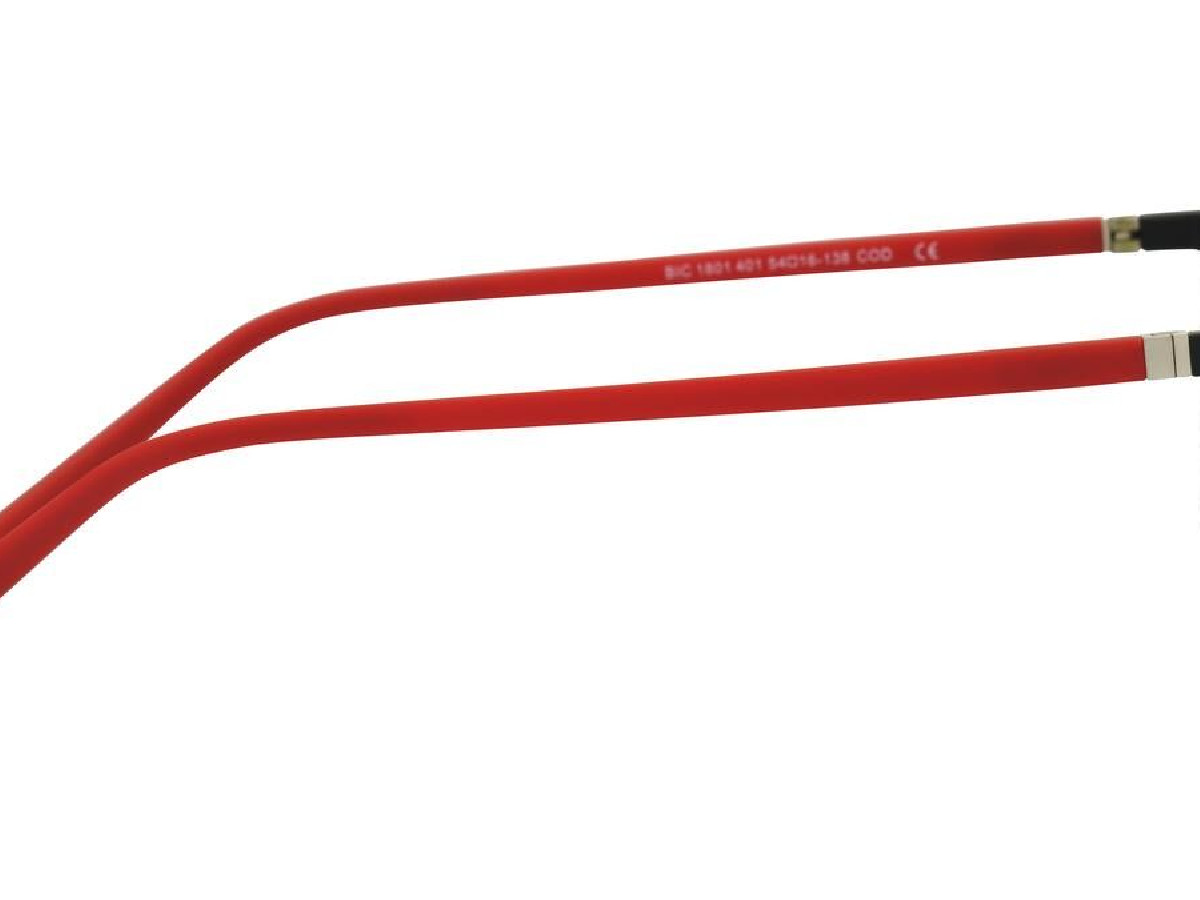 THE BICYCLE - BIC1801 - 54/16