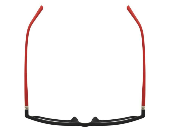 THE BICYCLE - BIC1801 - 54/16