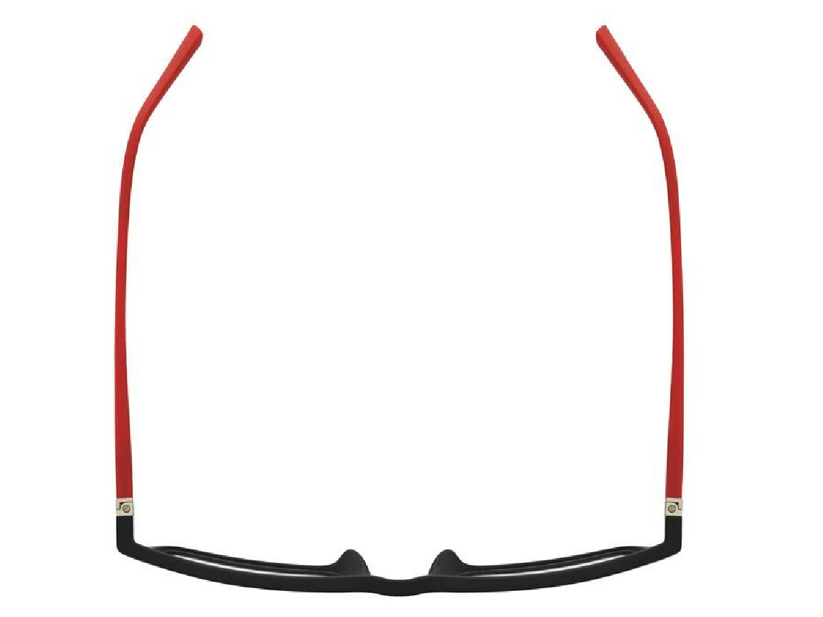 THE BICYCLE - BIC1801 - 54/16