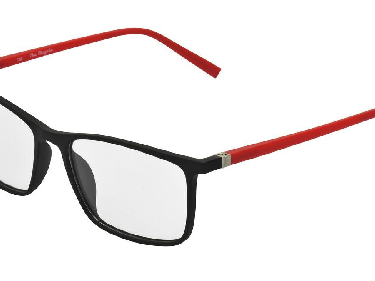 THE BICYCLE - BIC1801 - 54/16