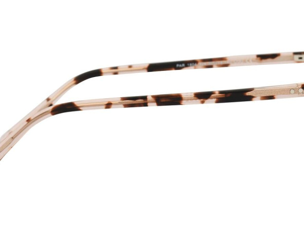 LA PARESSEUSE - PAR1804 - 50/18