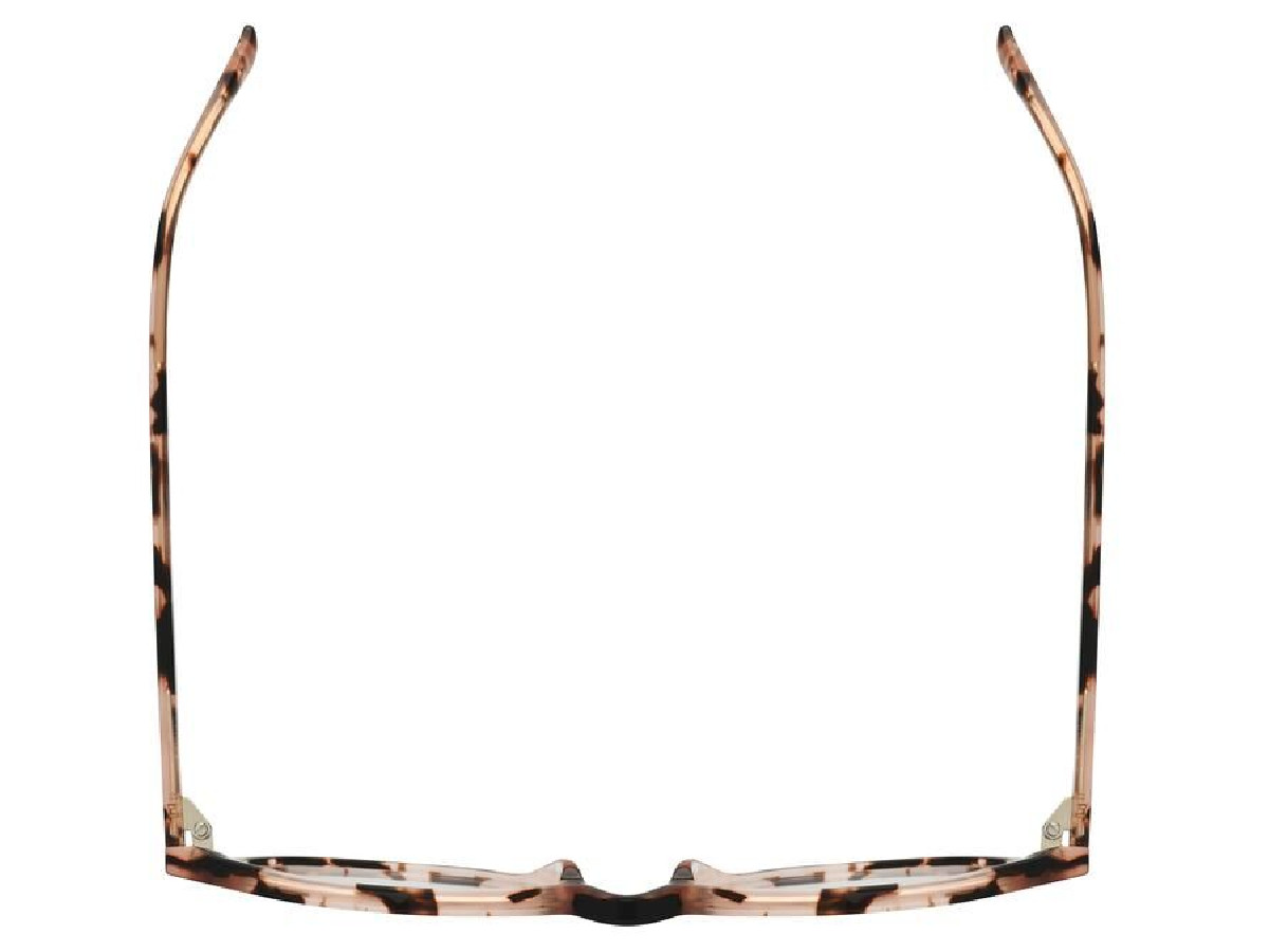 LA PARESSEUSE - PAR1804 - 50/18