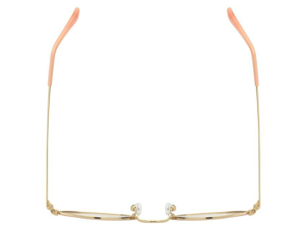 LA PARESSEUSE - PAR1902 - 49/20