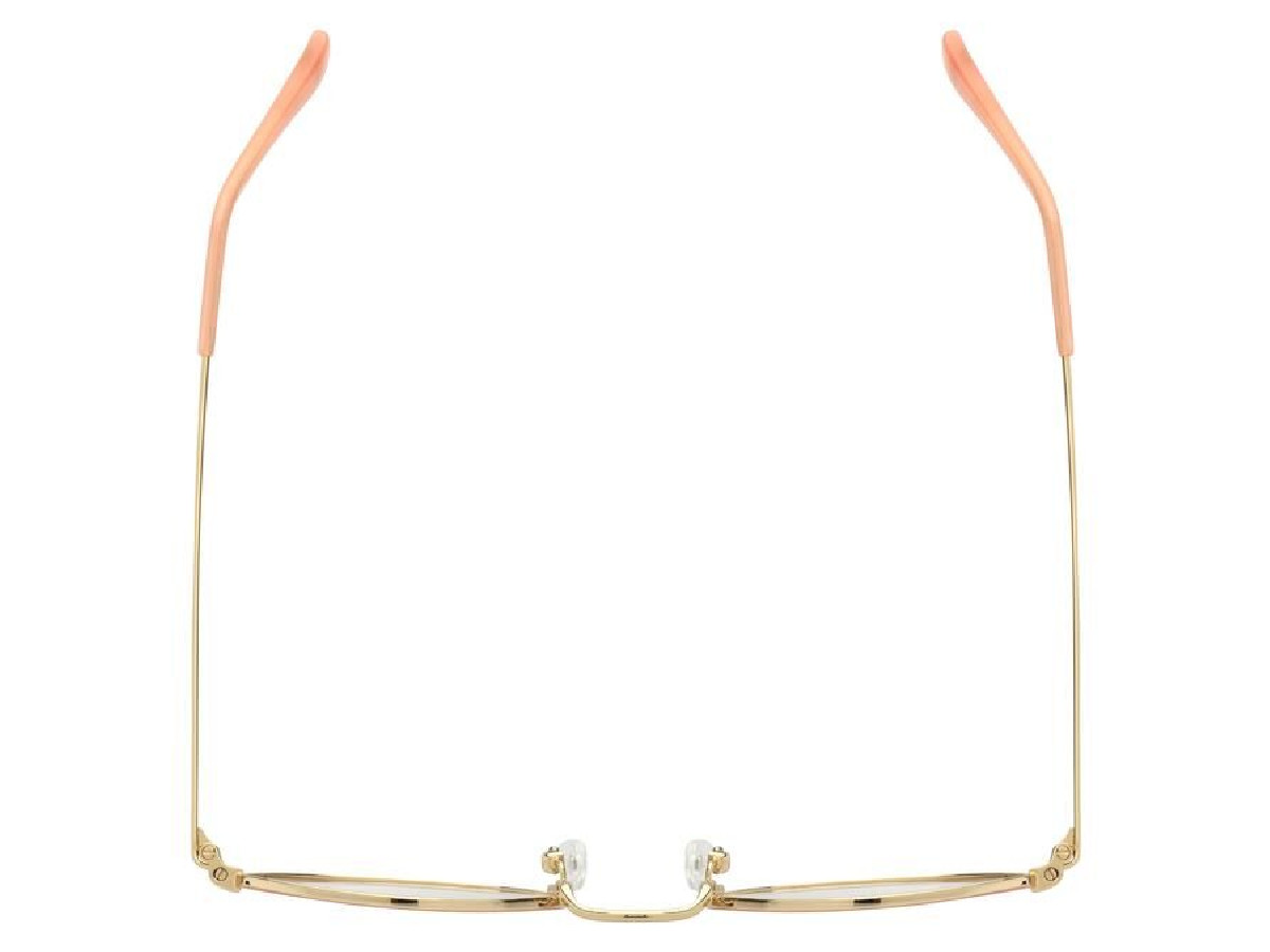 LA PARESSEUSE - PAR1902 - 49/20