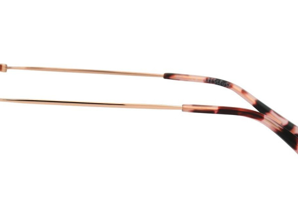 LA PARESSEUSE - PAR2001 - 52/19