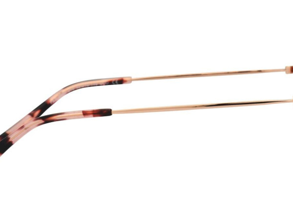 LA PARESSEUSE - PAR2001 - 52/19